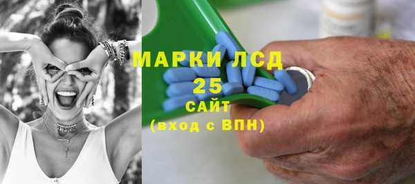 PSILOCYBIN Балабаново