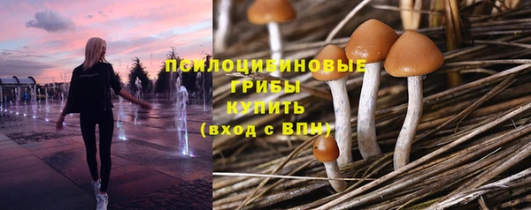 PSILOCYBIN Балабаново